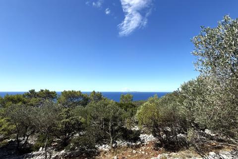 Veli Lošinj, Poljoprivredno zemljište sa maslinikom