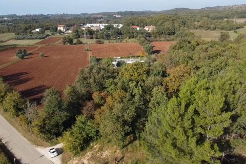 Poreč, lijepa poljoprivredna parcela sa pogledom na more