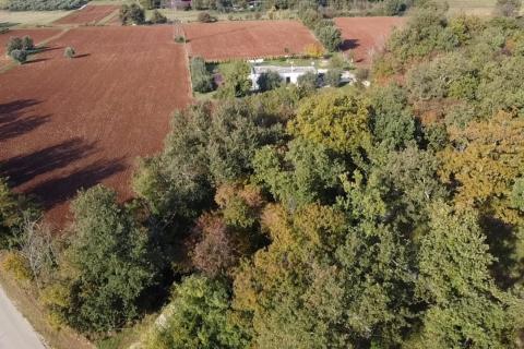 Poreč, lijepa poljoprivredna parcela sa pogledom na more