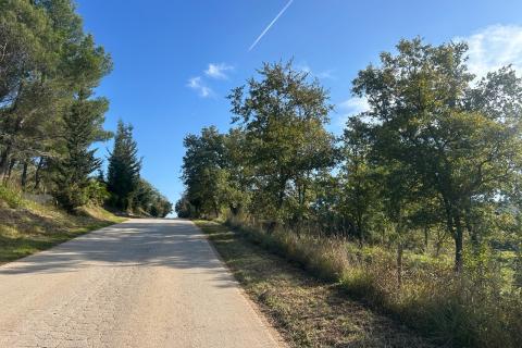 Poreč, lijepa poljoprivredna parcela sa pogledom na more