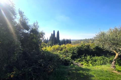 Istra,Buje-Građevinsko zemljište panoramskog pogleda
