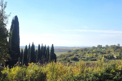 Istra,Buje-Građevinsko zemljište panoramskog pogleda
