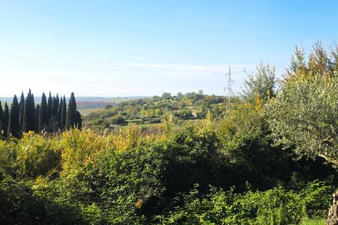 Istra,Buje-Građevinsko zemljište panoramskog pogleda