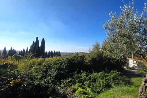 Istra,Buje-Građevinsko zemljište panoramskog pogleda