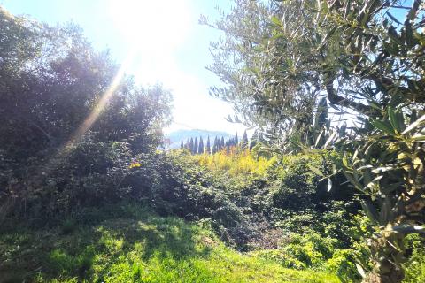 Istra,Buje-Građevinsko zemljište panoramskog pogleda