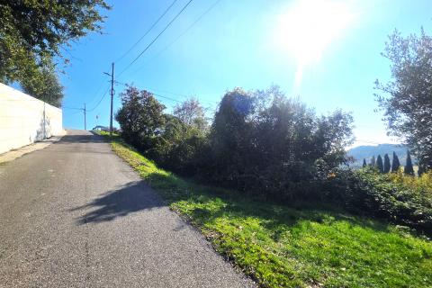Istra,Buje-Građevinsko zemljište panoramskog pogleda