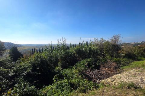 Istra,Buje-Građevinsko zemljište panoramskog pogleda