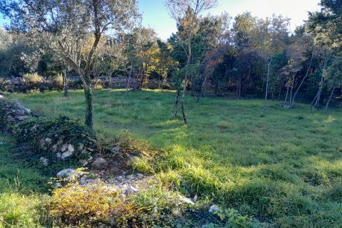 Istra,Rakalj,građevinsko zemljište 984 m2