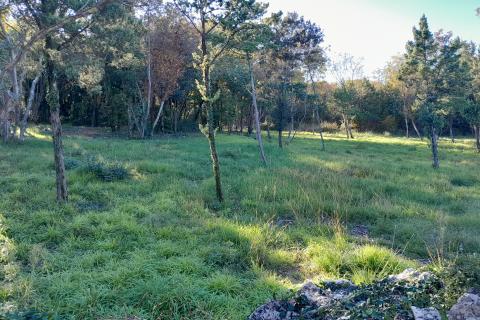 Istra,Rakalj,građevinsko zemljište 2136 m2