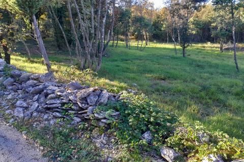 Istra,Rakalj,građevinsko zemljište 2136 m2