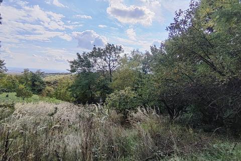 Zagreb, Markuševec - poljoprivredno zemljište 2336 m2  s kućicom