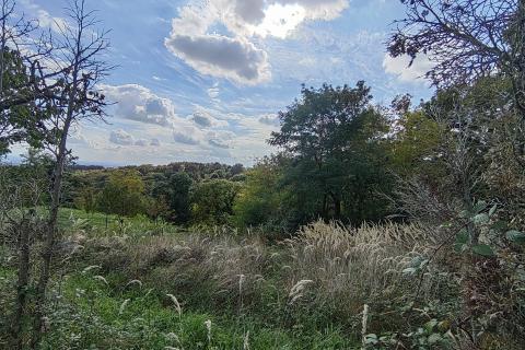 Zagreb, Markuševec - kućica 23 m2 na poljoprivrednom zemljištu