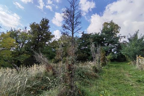 Zagreb, Markuševec - kućica 23 m2 na poljoprivrednom zemljištu