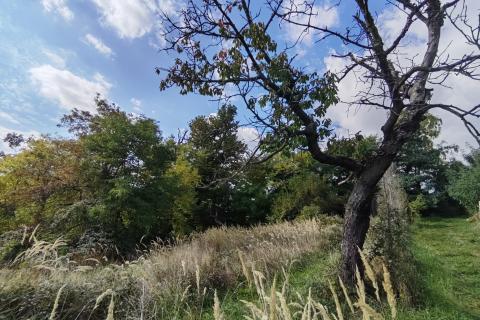 Zagreb, Markuševec - kućica 23 m2 na poljoprivrednom zemljištu