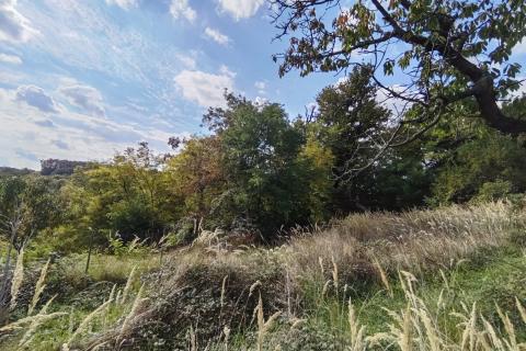 Zagreb, Markuševec - kućica 23 m2 na poljoprivrednom zemljištu