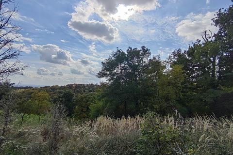 Zagreb, Markuševec - kućica 23 m2 na poljoprivrednom zemljištu