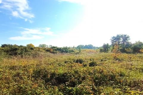 Istra,Novigrad,predgrađe-Građevinsko zemljište u mirnom okruženju