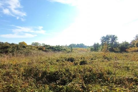 Istra,Novigrad,predgrađe-Građevinsko zemljište u mirnom okruženju