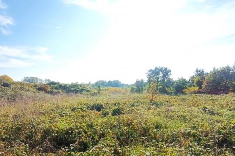 Istra,Novigrad,predgrađe-Građevinsko zemljište u mirnom okruženju