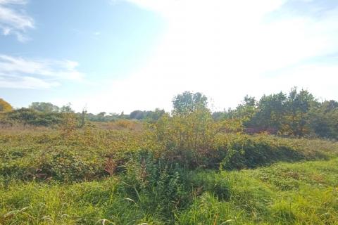 Istra,Novigrad,predgrađe-Građevinsko zemljište u mirnom okruženju