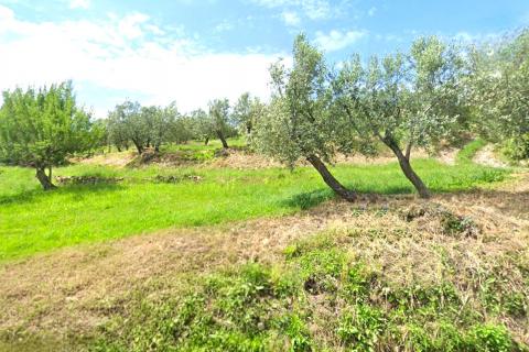Stavbno zemljišče Momjan, Buje, 284m2