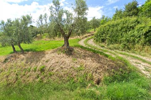 Stavbno zemljišče Momjan, Buje, 284m2