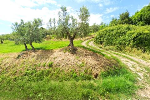 Stavbno zemljišče Momjan, Buje, 284m2