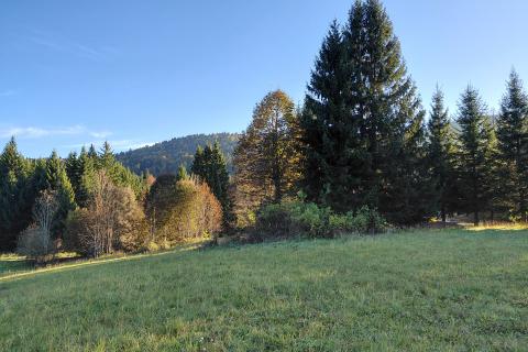 Gorski kotar, Stara Sušica - građevinski teren s predivnim pogledom