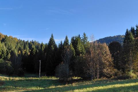 Gorski kotar, Stara Sušica - građevinski teren s predivnim pogledom