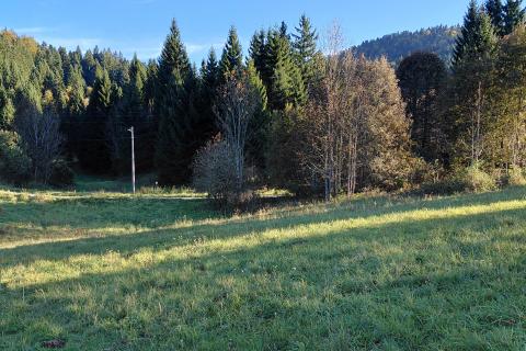 Gorski kotar, Stara Sušica - građevinski teren s predivnim pogledom