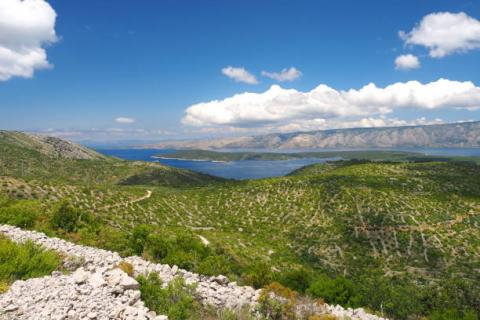 Hvar, Stari Grad, Grablje, poljoprivredno zemljište površine 10794m2
