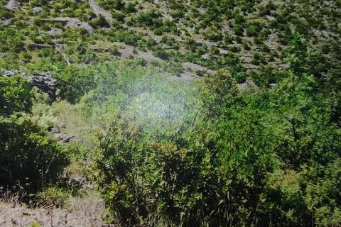 Hvar, Stari Grad, Grablje, poljoprivredno zemljište površine 10794m2