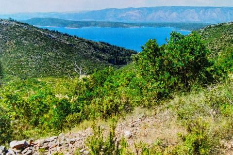 Hvar, Stari Grad, Grablje, poljoprivredno zemljište površine 10794m2