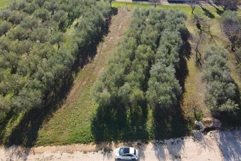 Istra, Poreč - okolica, građevinsko zemljište za izgradnju kuće