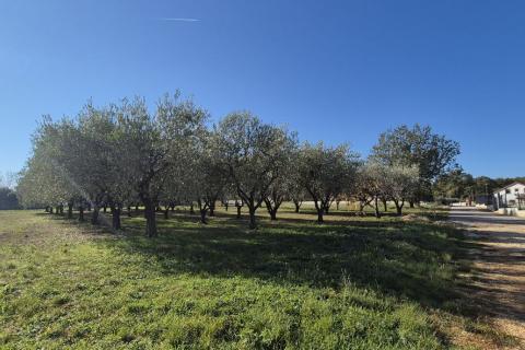 Istra, Poreč - okolica, građevinsko zemljište za izgradnju kuće