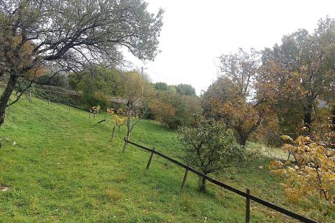 Crikvenica, Bribir- kamena kuća s prostranom okućnicom