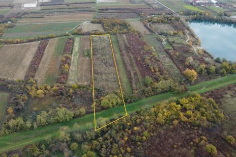 Velika Gorica, Vukovina, zemljište 13.944 m2, plantaža crnog oraha