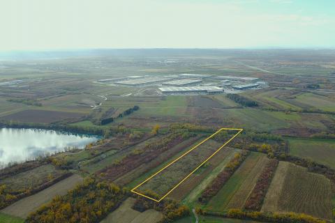 Velika Gorica, Vukovina, zemljište 13.944 m2, plantaža crnog oraha