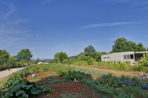 Istra, Žminj- građevinsko zemljište s građevinskom dozvolom, 1351m2