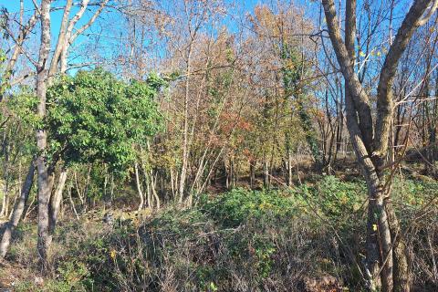 Building plot Veli Brgud, Matulji, 1.583m2