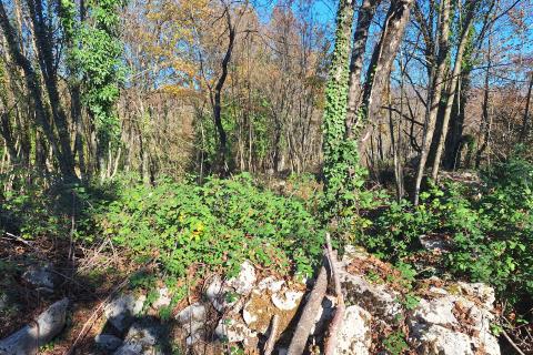 Building plot Veli Brgud, Matulji, 1.583m2