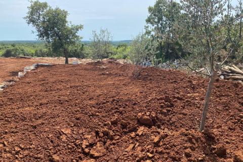 Stavbno zemljišče Bale, 493m2