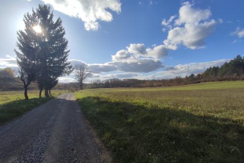 Barilović,Svojić, seosko imanje,73500 m2 zemljišta