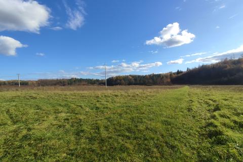 Barilović,Svojić, seosko imanje,73500 m2 zemljišta