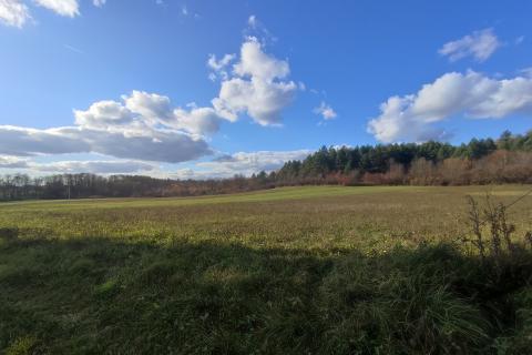 Barilović,Svojić, seosko imanje,73500 m2 zemljišta