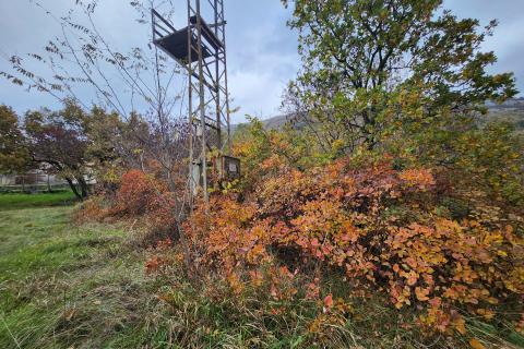 Istra, Buzet, Roč - 4848 m2 građevinsko i negrađevinsko zemljište