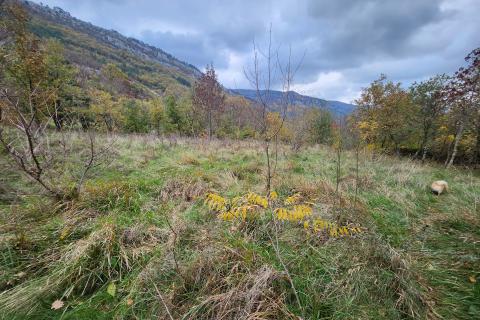 Istra, Buzet, Roč - 4848 m2 građevinsko i negrađevinsko zemljište