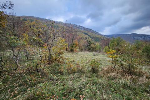Istra, Buzet, Roč - 4848 m2 građevinsko i negrađevinsko zemljište