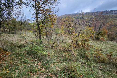 Istra, Buzet, Roč - 4848 m2 građevinsko i negrađevinsko zemljište