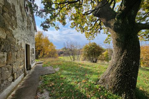 Istra, Buzet, Dolenja Nugla - građevinsko i nerađevinsko zemljište
